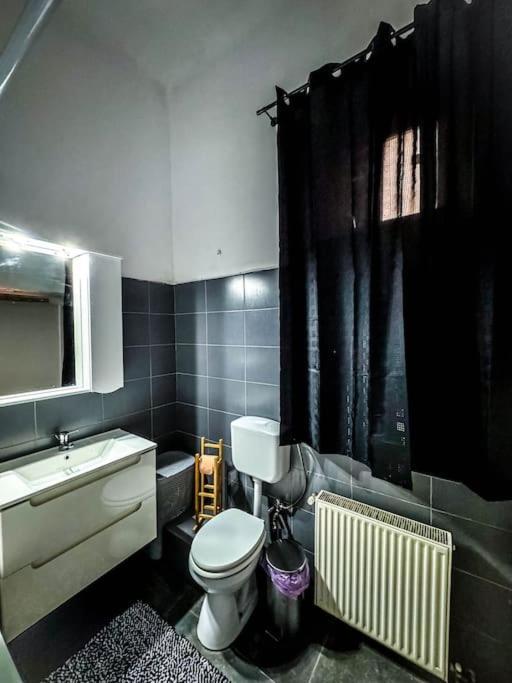 דירות טימישוארה Cozy & Charming Apt. Downtown מראה חיצוני תמונה